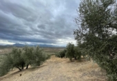 Xalet independent amb terreny en venda a la España, Jaén, ref.: TR323540 foto