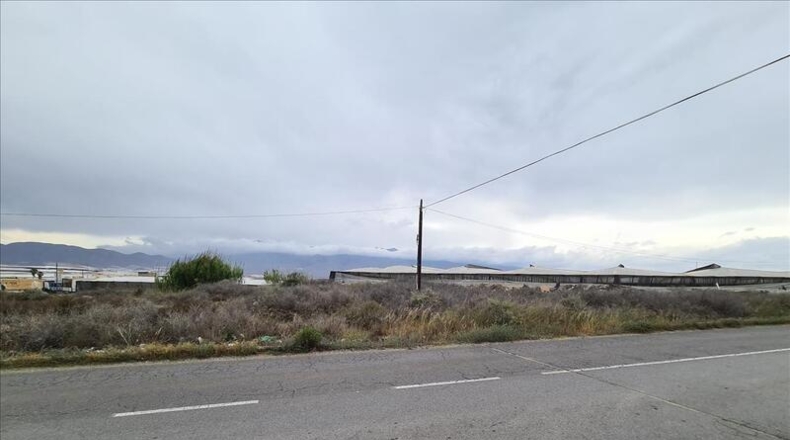 Almería - El Ejido - 2504m2