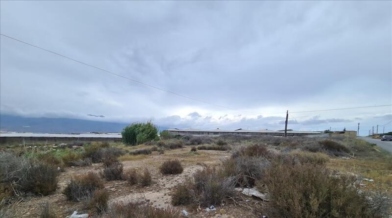 Almería - El Ejido - 2504m2