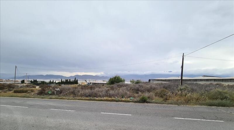Almería - El Ejido - 2504m2