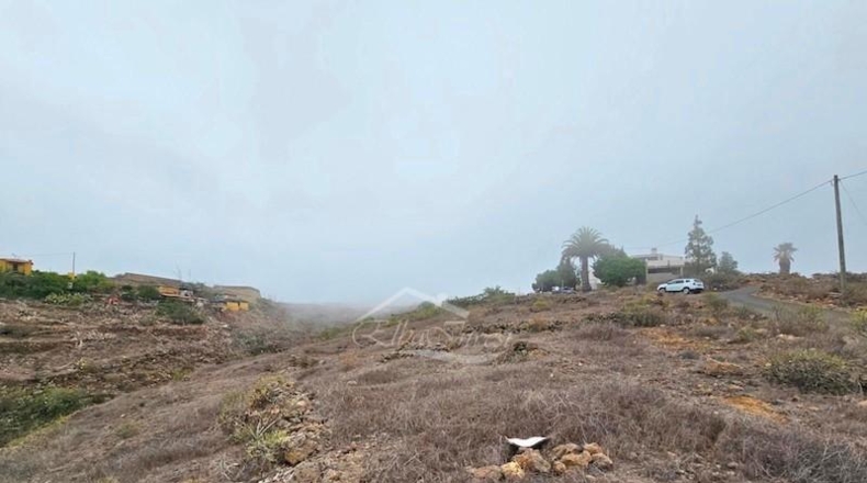 Santa Cruz de Tenerife - Adeje - 4932m2