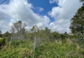 Sòl urbà en venda a la España, Mont-roig del Camp, ref.: TR340969 foto