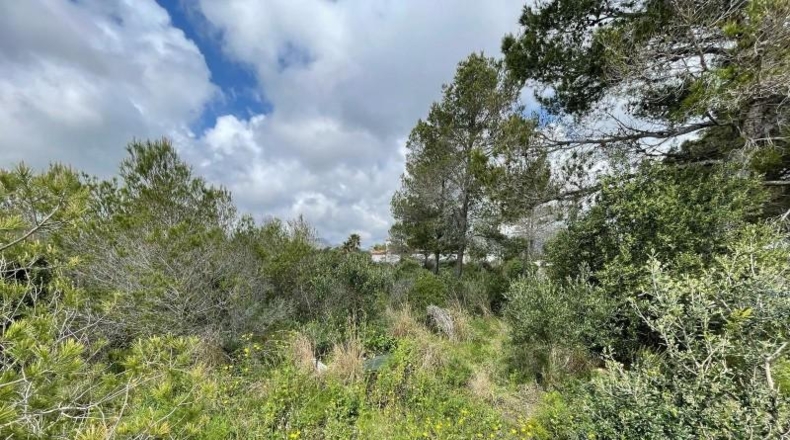 Tarragona - Mont-roig del Camp - 1003m2
