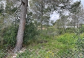 Sòl urbà en venda a la España, Mont-roig del Camp, ref.: TR340969 foto