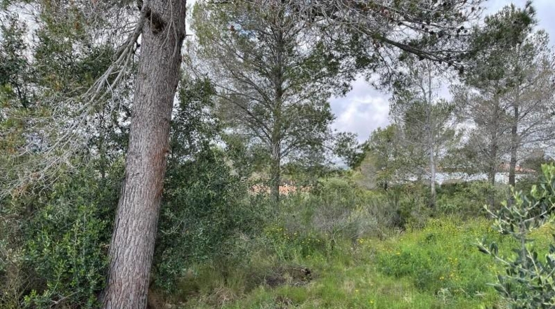 Tarragona - Mont-roig del Camp - 1003m2