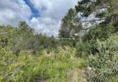 Sòl urbà en venda a la España, Mont-roig del Camp, ref.: TR341638 foto