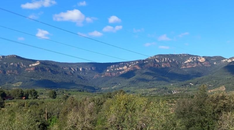 Tarragona - Vilaplana - 6474m2