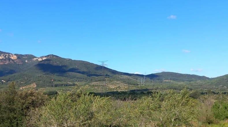 Tarragona - Vilaplana - 6474m2