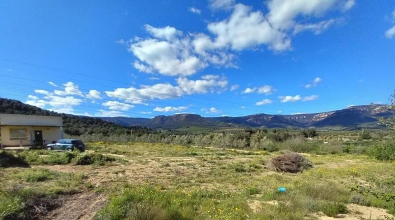 Tarragona - Vilaplana - 6474m2