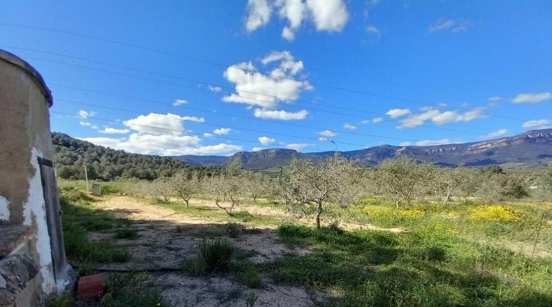 Tarragona - Vilaplana - 6474m2