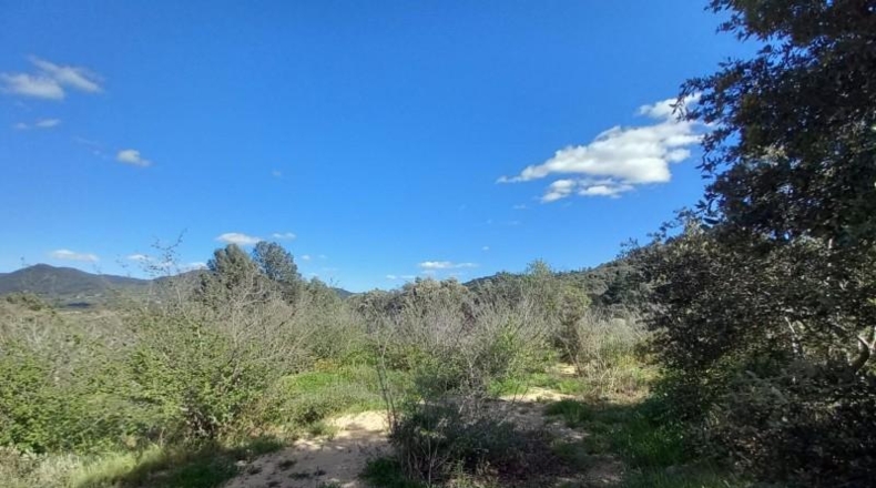 Tarragona - Vilaplana - 6474m2