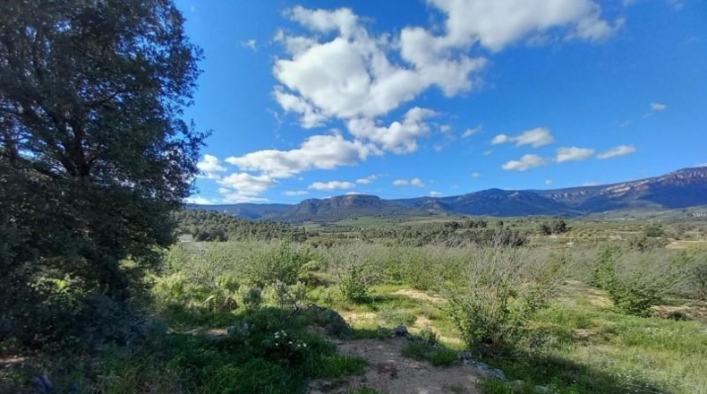Tarragona - Vilaplana - 6474m2