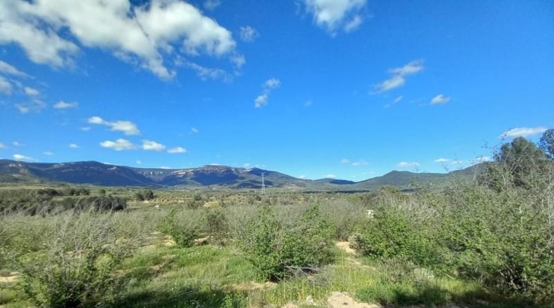 Tarragona - Vilaplana - 6474m2