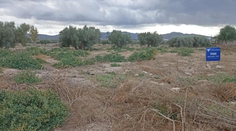 Murcia - Totana - 9900m2