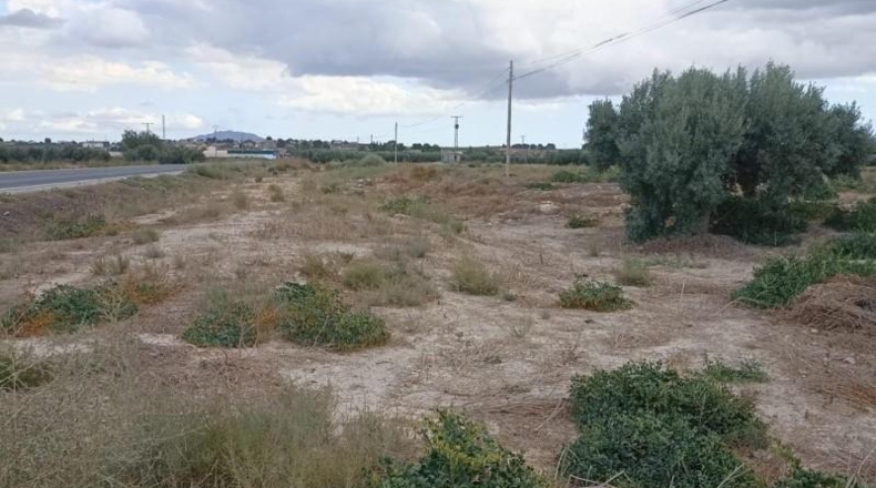 Murcia - Totana - 9900m2