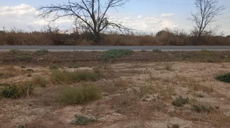 Murcia - Totana - 9900m2