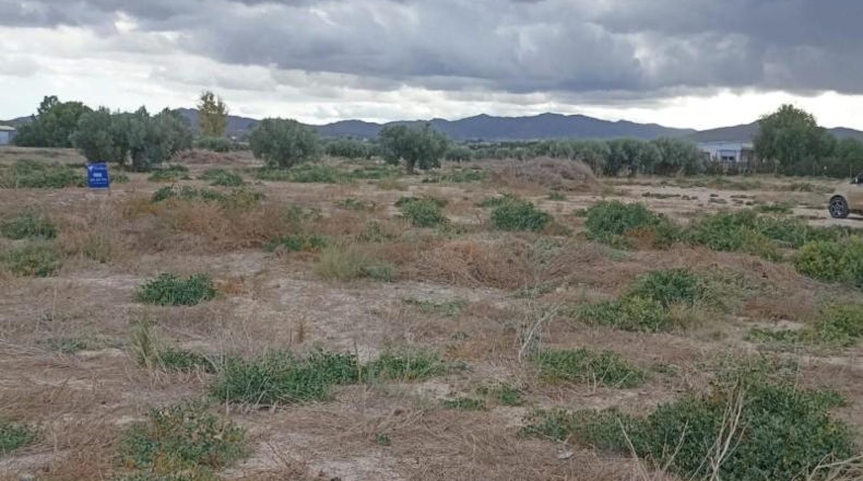 Murcia - Totana - 9900m2