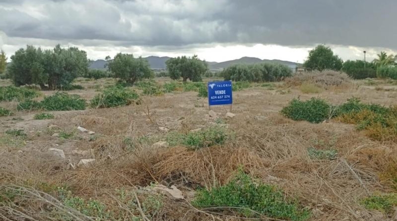 Murcia - Totana - 9900m2