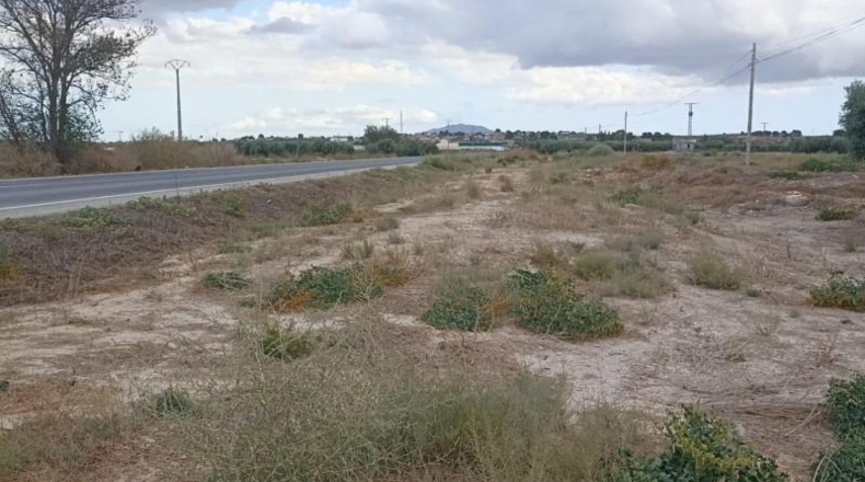 Murcia - Totana - 9900m2
