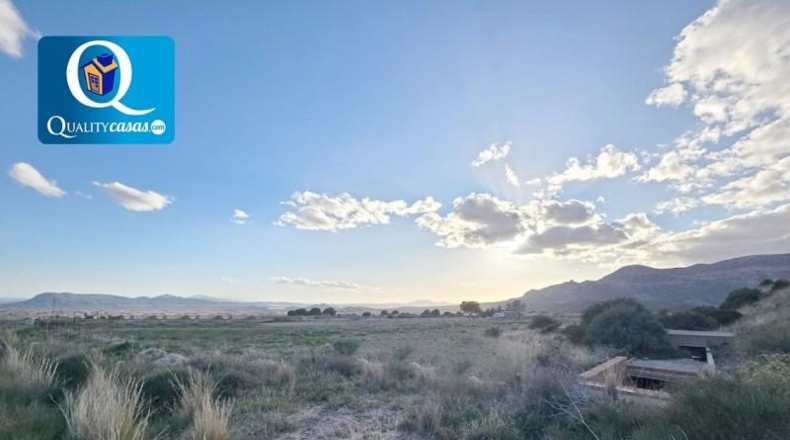 Alicante - Agost - 12120m2