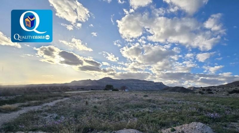 Alicante - Agost - 12120m2