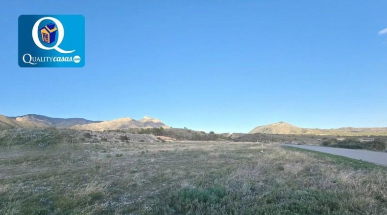 Alicante - Agost - 12120m2