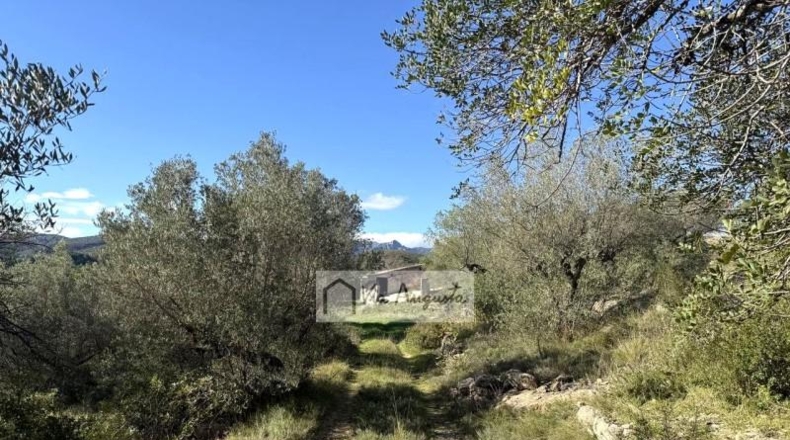 Tarragona - el Perelló - 20529m2