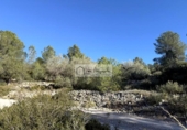 Terreno no urbanizable en venta en la España, el Perelló, ref: TR368319 foto