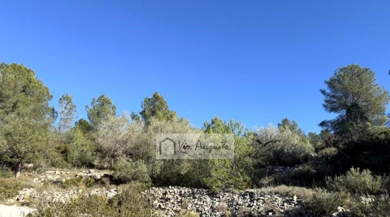 Tarragona - el Perelló - 20529m2