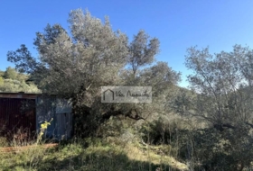 el Perelló 20529&nbsp;м²
