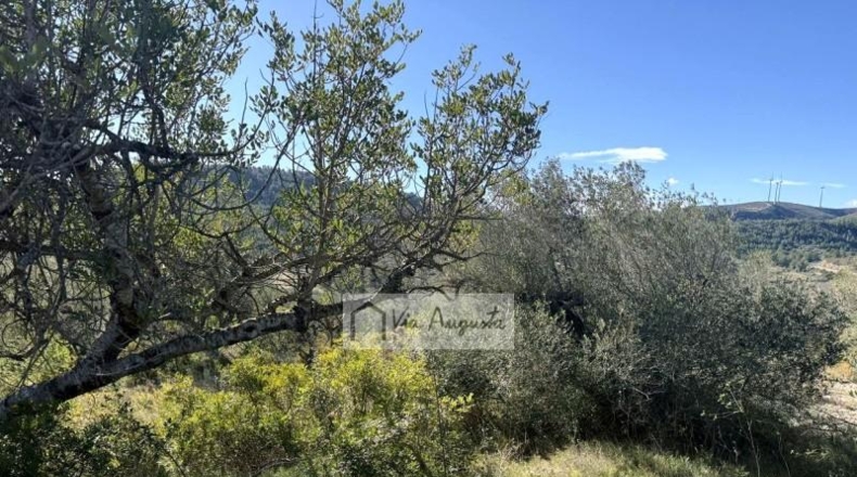 Tarragona - el Perelló - 20529m2