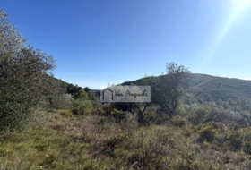 el Perelló 20529&nbsp;м²