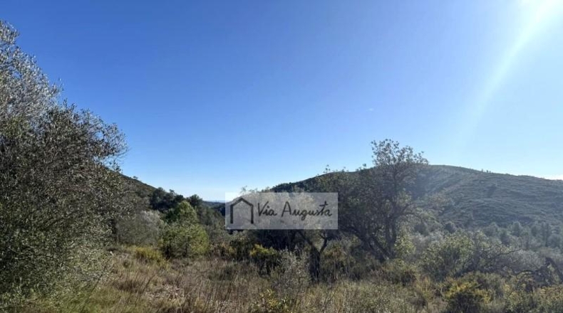 Tarragona - el Perelló - 20529m2