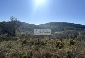 el Perelló 20529&nbsp;м²