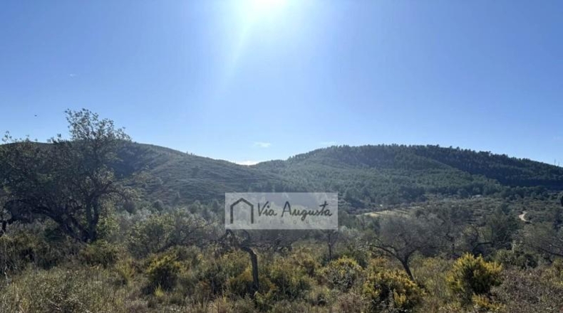 Tarragona - el Perelló - 20529m2