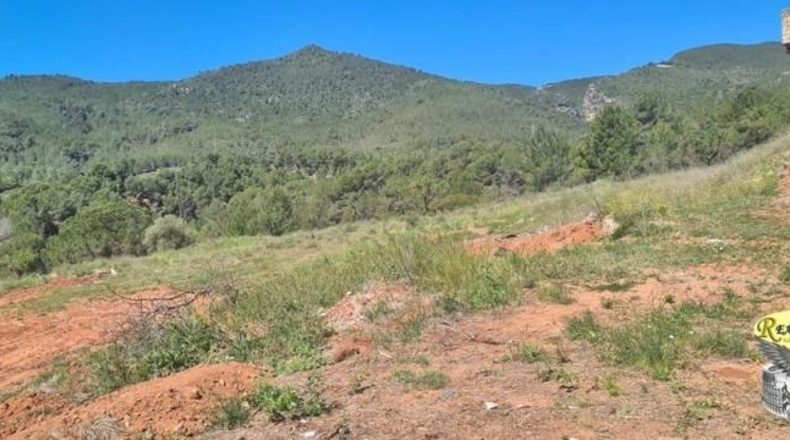 Tarragona - Vilaverd - 4358m2