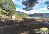 Casa amb terreny en venda a la España, Vilaverd, ref.: TR350664 foto