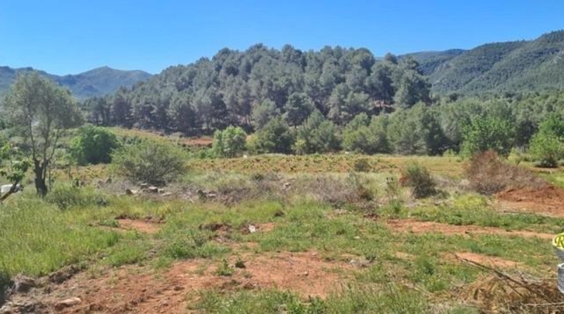Tarragona - Vilaverd - 4358m2