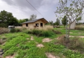 Casa de camp amb terreny en venda a la España, Novelda, ref.: TR355332 foto