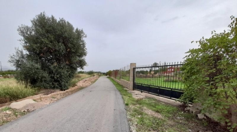 Alicante - Novelda - 1800m2