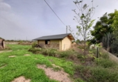Casa de camp amb terreny en venda a la España, Novelda, ref.: TR355332 foto