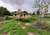 Casa de camp amb terreny en venda a la España, Novelda, ref.: TR355332 foto
