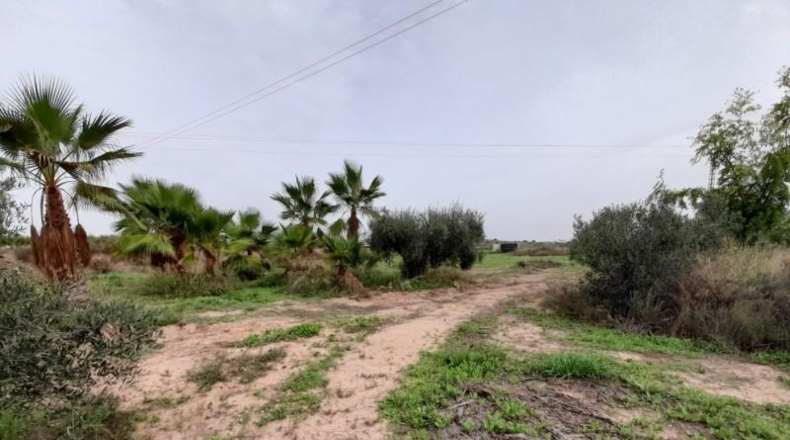 Alicante - Novelda - 1800m2