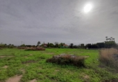 Casa de camp amb terreny en venda a la España, Novelda, ref.: TR355332 foto
