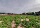 Casa de camp amb terreny en venda a la España, Novelda, ref.: TR355332 foto