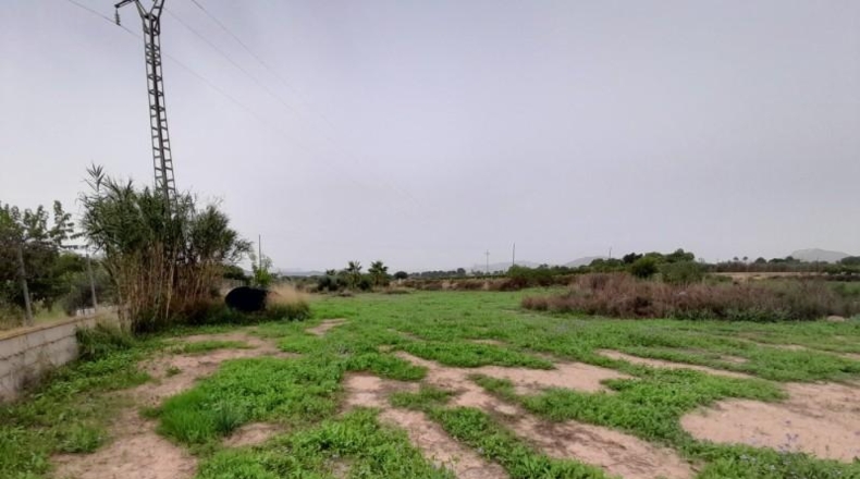Alicante - Novelda - 1800m2