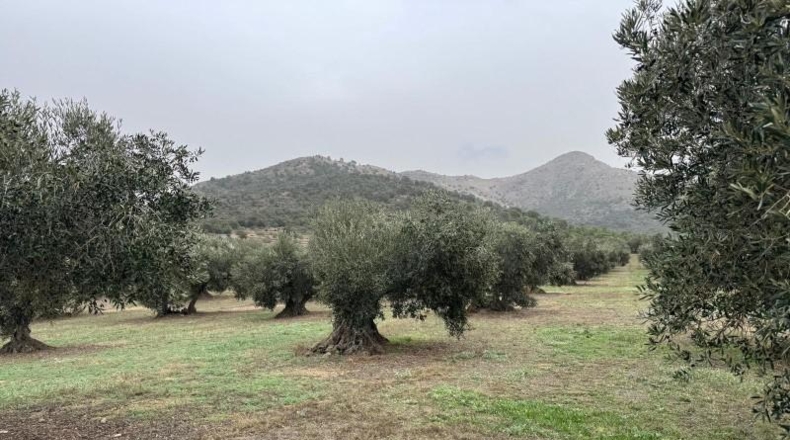 Gerona - l'Escala - 1110m2