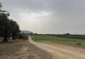 Non-developable land for sale on España, Roses, ref: TR356939 photo