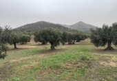 Non-developable land for sale on España, Roses, ref: TR356939 photo