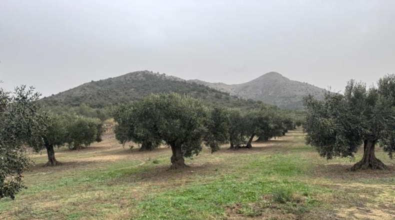 Gerona - l'Escala - 1110m2